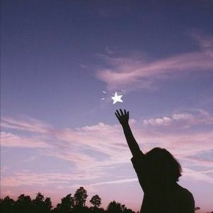 Meet your Posher, Anthestic